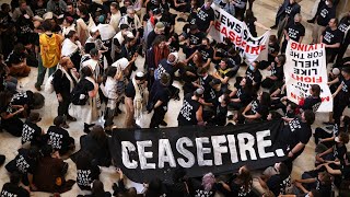 ProPalestine rally causes chaos at US Capitol [upl. by Coy]