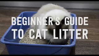 A Guide to Cat Litter in Australia  Review of The 5 Common Materials [upl. by Akirdnas]