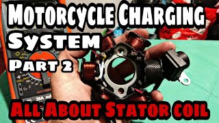 How to test stator coil  Motorcycle Charging System [upl. by Koss944]