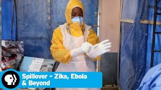 SPILLOVER  ZIKA EBOLA amp BEYOND  Healthcare Workers  PBS [upl. by Noit]