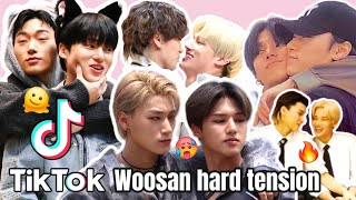 WOOSAN HARD TENSION Best TikToks 🫠🥵🔥 [upl. by Duston185]