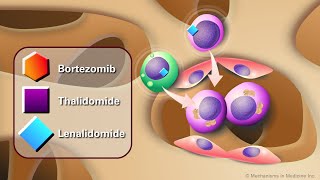 Novel AntiCancer Agents for Multiple Myeloma [upl. by Drusus]