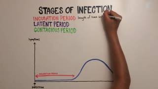 Mononucleosis Video 2 Mononucleosis II [upl. by Leitnahs]