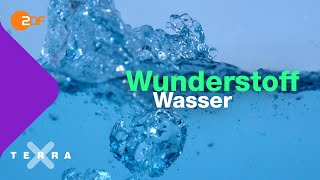 Was die Anomalie des Wassers bedeutet  Terra X plus [upl. by Ydnak740]