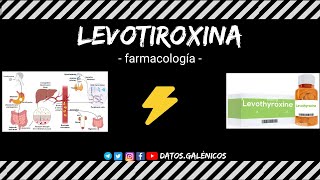 Levotiroxina ⚡️ farmacocinética y farmacodinámia ⚡️ mecanismo de acción de la hormona tiroidea [upl. by Cinelli]