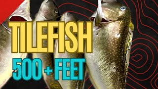 Tilefish 500 feet with Reel World Charter Fishing [upl. by Ajiram652]