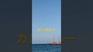 Minna no Nihongo  Lesson 21  Listening practice [upl. by Nerhtak]