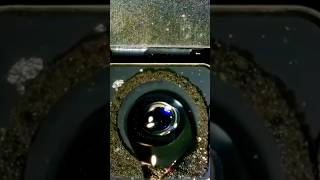 HowTo Clean Camera lensshorts [upl. by Wehrle552]