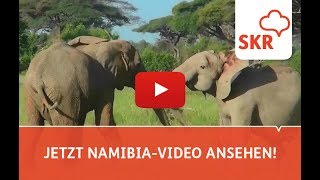 7 Gründe für Ihre Namibia Reisen [upl. by Westberg241]