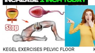 5 TOP BEST PELVIC FLOOR EXERCISES FOR MEN  TO INCREASE SEXUAL DESIRE [upl. by Wanonah175]