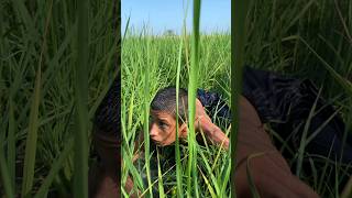 Allah ne jan bacha li india islamicvideo vairalvideo shorts emotional usa foryou [upl. by Euphemiah]