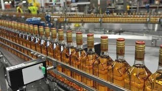 bottling Plant  Distillery  ਦਾਰੂ ਦੀ ਡਿਸਟਿਲਰੀ  whiskey RUM brandy Wine Bottle Packing alcohol [upl. by Bohlen786]