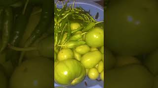 Green tomatoes from these freshly plucked tomatoes [upl. by December]