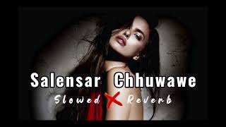 Bhatar Jab Salensar Chuwawe LoFiSong Slowed and Reverb awdheshpremibhojpurinewvideo [upl. by Lomasi]