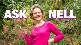 Ask Nell Ants In amp Around Your Plants [upl. by Elliven73]