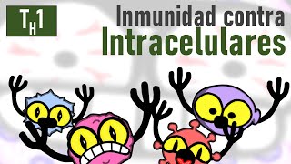 Inmunidad contra Virus Bacterias y Hongos Intracelulares  TH1 [upl. by Gnol]