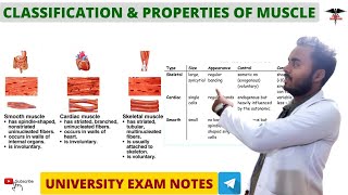 Classification Of Muscle  Properties  Muscle physiology [upl. by Aikimat]