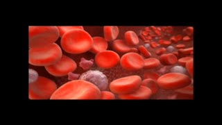 Building Your Hemoglobin Level Without Blood [upl. by Raymond]