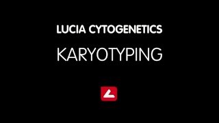 Karyotyping with Lucia Cytogenetics [upl. by Yllom567]