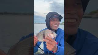 Part 2 “Got it” Unhooking porgyscup 🐟in Fort Wetherill State Park [upl. by Nocaed]