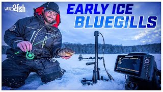 Ice Fishing Bluegills  Where to Find and How to Catch [upl. by Mohammed]