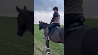 Kleiner Stall Vlog 🐴💕 pferd horse equestrian reiten shorts short pferde horses [upl. by Dorsey]