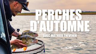 Pêche des grosses perches en automne avec Mathieu Thevenin [upl. by Rebmyt]