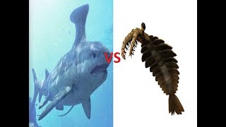 Stethacanthus vs Anomalocaris [upl. by Lavern]