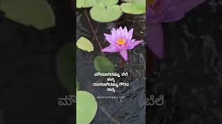 kannada kannadastatus kannadamotivation kannadaquotes [upl. by Koal]