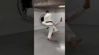 Judo Foot Sweep jiujitsuflo judo jiujitsu martialarts [upl. by Eiloj449]