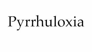 How to Pronounce Pyrrhuloxia [upl. by Jacquette266]