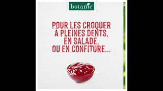 Les fraisiers botanic® [upl. by Kassey]