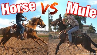 Horse vs Mule Who is Faster 100 Yard Race [upl. by Naeroled930]