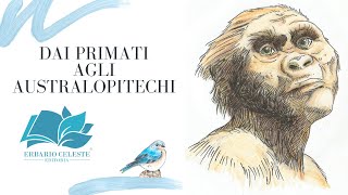 Dai Primati agli Australopitechi [upl. by Annasiul]