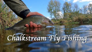 Chalkstream Fly Fishing the Orvis Beat of the River Itchen fishing flyfishing [upl. by Cohleen]