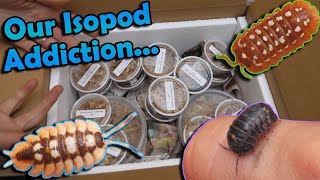 Unboxing 1000 Worth of Isopods [upl. by Adrahc82]