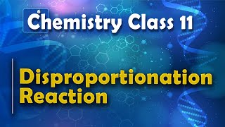 Disproportionation Reaction  Redox Reaction  Chemistry Class 11 [upl. by Aihsyn114]