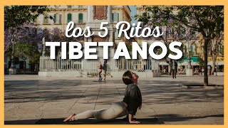 Los 5 RITOS TIBETANOS  Secreto de la eterna juventud 🌺 [upl. by Dilisio]