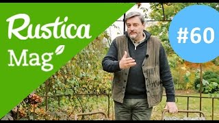 Protéger les plantes contre le gel Rusticamag 60  saison 03 épisode 23 [upl. by Feerahs417]