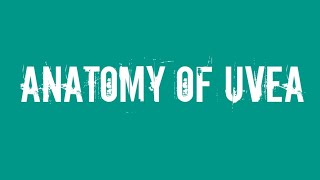 Ophthalmology Anatomy of uvea [upl. by Cuhp]