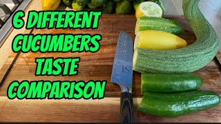 Cucumbers Taste Comparison [upl. by Roldan]