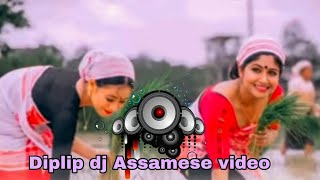 Diplip dj  Assamese video song  2024 [upl. by Acsot]