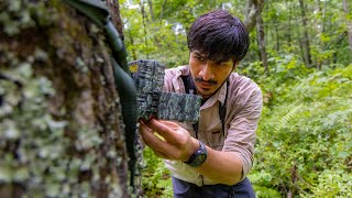 Virginia Tech students track how seeds travel in the Southern Appalachians [upl. by Erdne674]