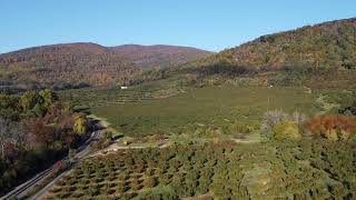 Quick launch video in Crozet over Chiles Peach Orchard [upl. by Joselyn]