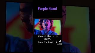 Cheech Marin Purple Haze from 1987s Born In East LA [upl. by Tadashi495]