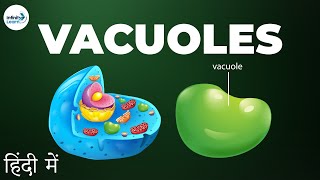 Cells  Lesson 13  Vacuoles  in Hindi हिंदी में   Infinity Learn [upl. by Tristan]