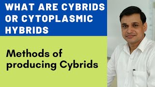 What are Cybrids or Cytoplasmic hybrids  Methods of producing Cybrids [upl. by Hemetaf]