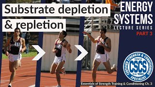 Substrate Depletion and Repletion  CSCS Chapter 3 [upl. by Charlotta129]