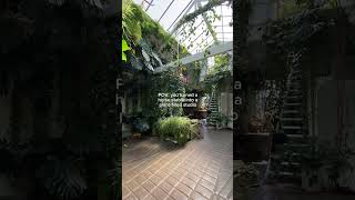 From horse stables to stunning daylight studio🌿 london studio renovation hometour plants [upl. by Aretha691]