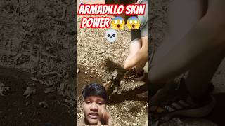 What Armadillo animal Skin Power😱shorts animals amazingfacts amazing knowledge [upl. by Adnaram]